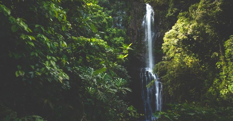 Wailua waterfalls Maui