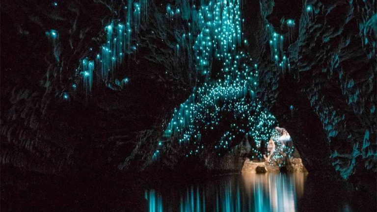 Waitomo Caves New Zealand travel