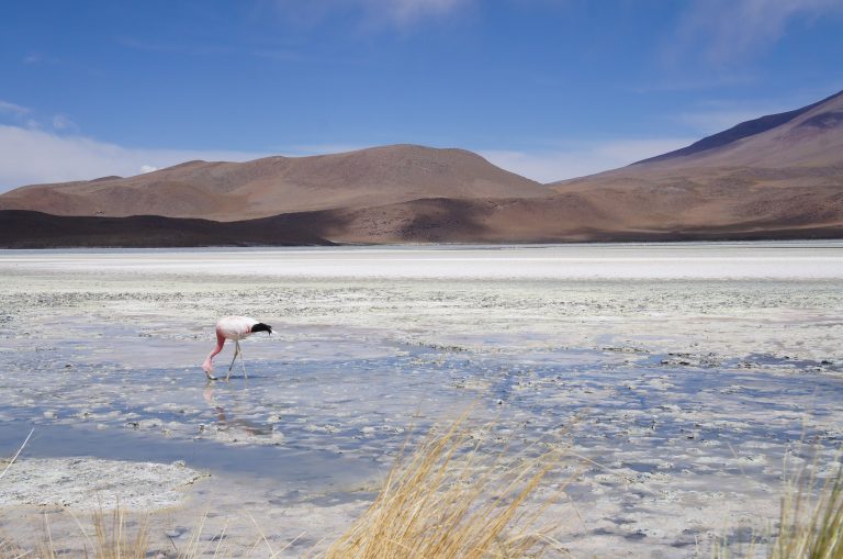 Uyuni Salt Flat travel informations