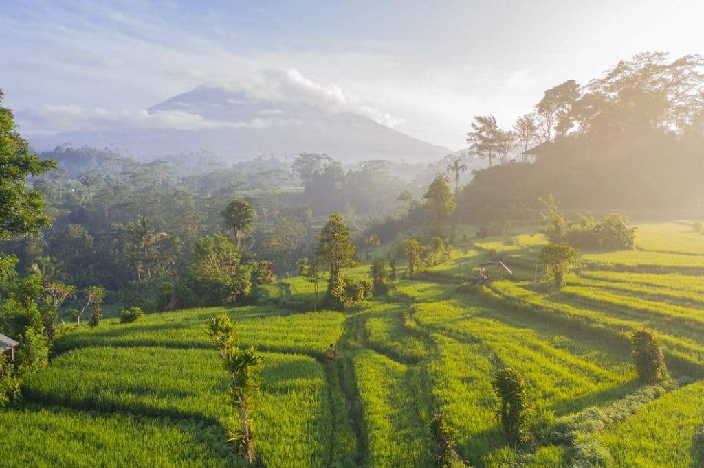 Things to do in Bali for backpack travelers