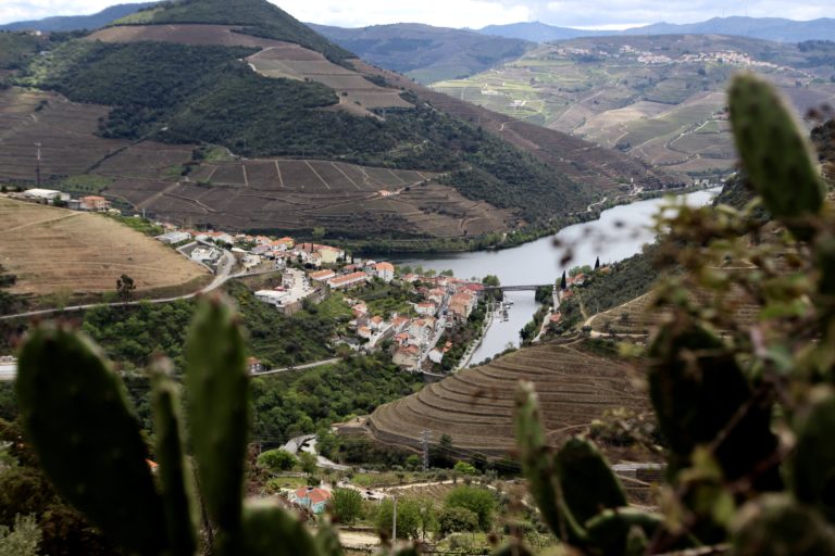 Douro valley travel Portugal