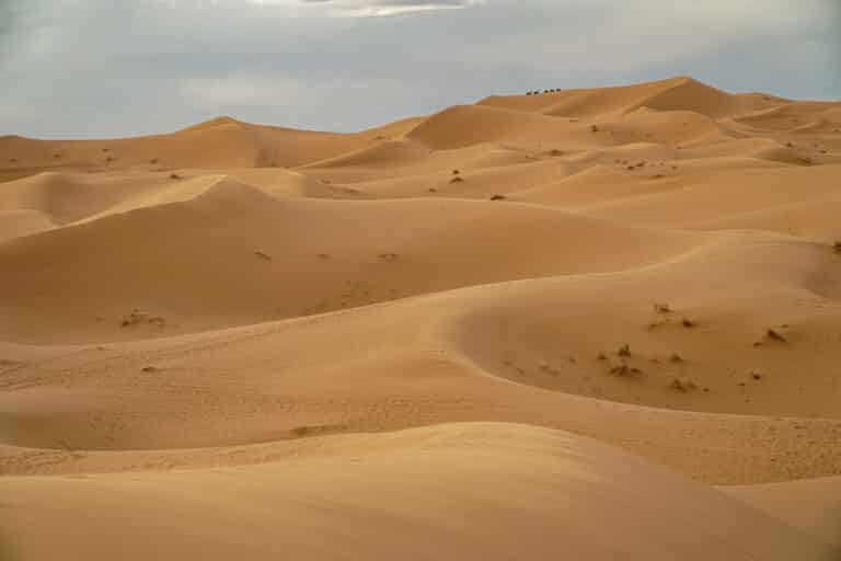 Sahara Desert morocco