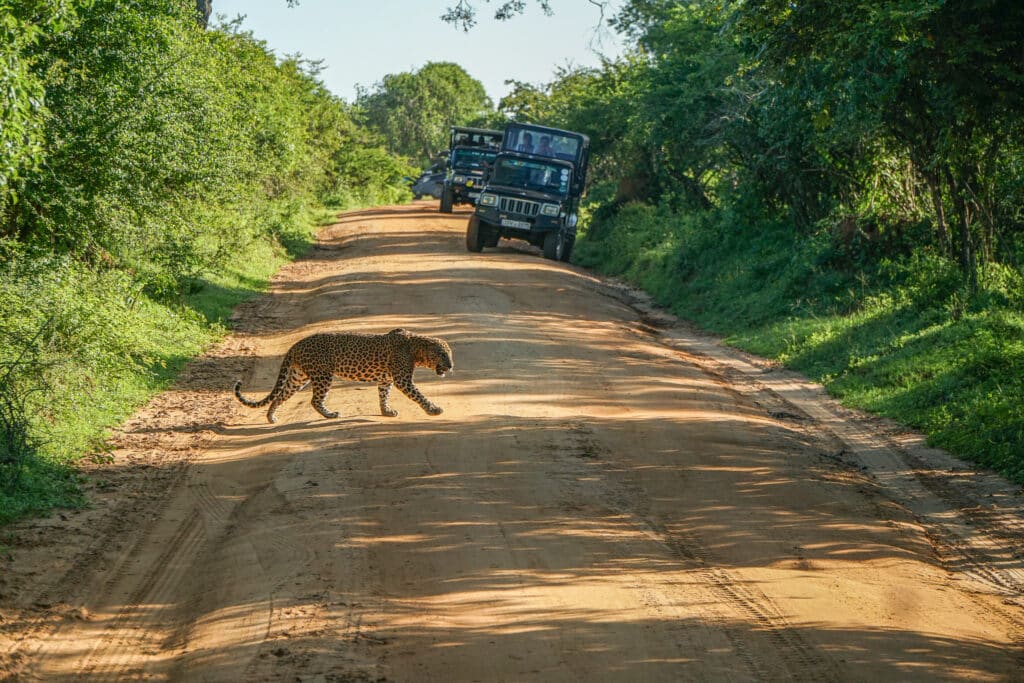 Sri lanka best things to do travel guide