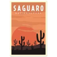 Saguaro National Park | Travel Print