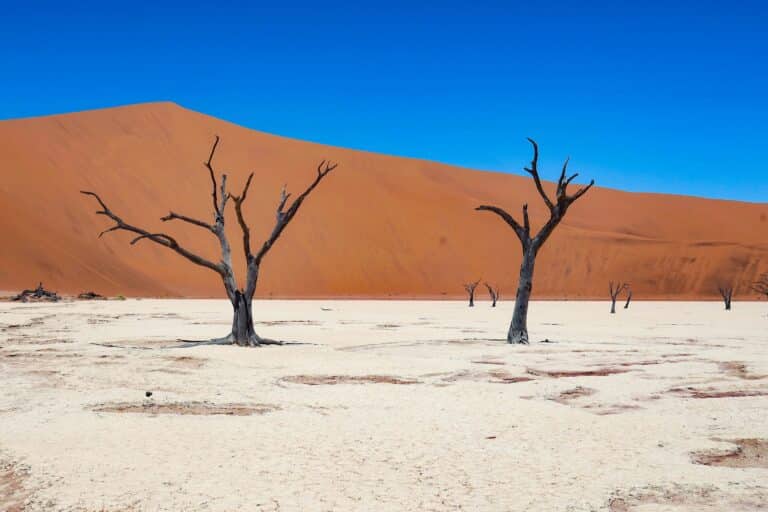 Namibia must see travel